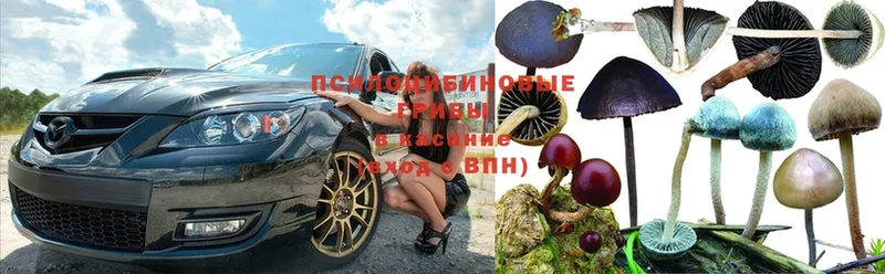 Псилоцибиновые грибы MAGIC MUSHROOMS  как найти   Уяр 