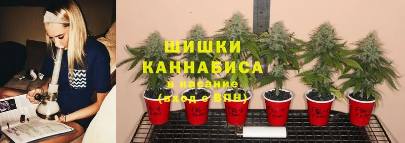 блэк спрут как зайти  Уяр  Каннабис SATIVA & INDICA 